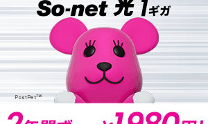 コスパ最強！So-net光 